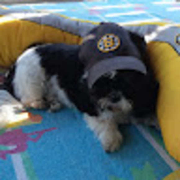 Meet your Posher, Aart - Picture 1 of 1